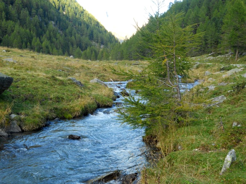 Costa Molini (Brunico)